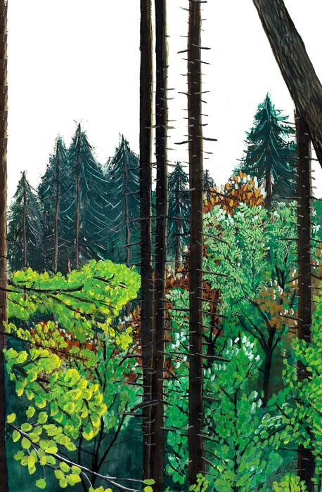 Wald bei Breitenhilm (Farbskizze)